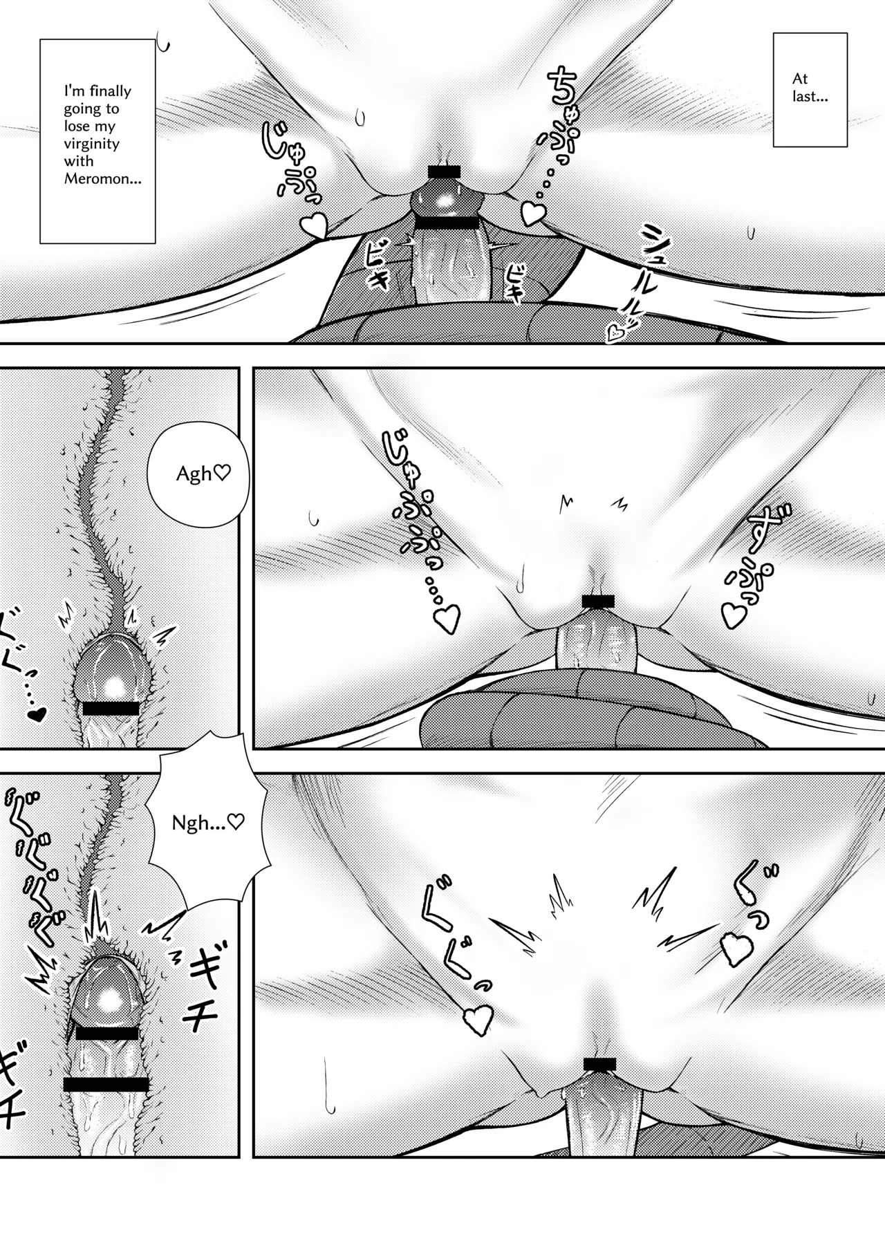 Pagina 17