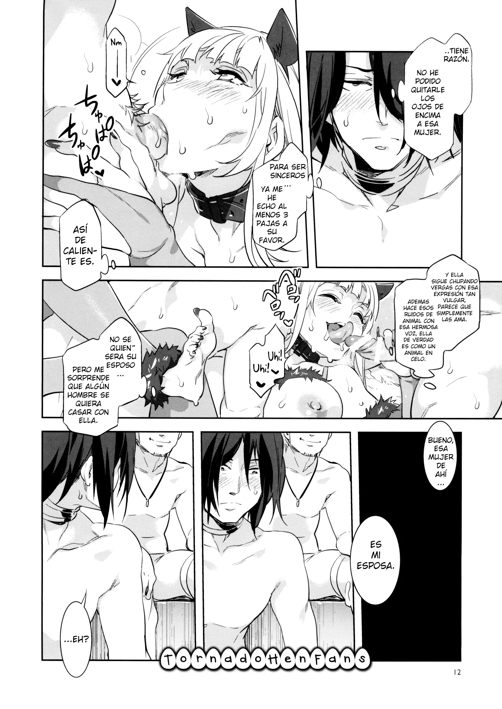 Pagina 12