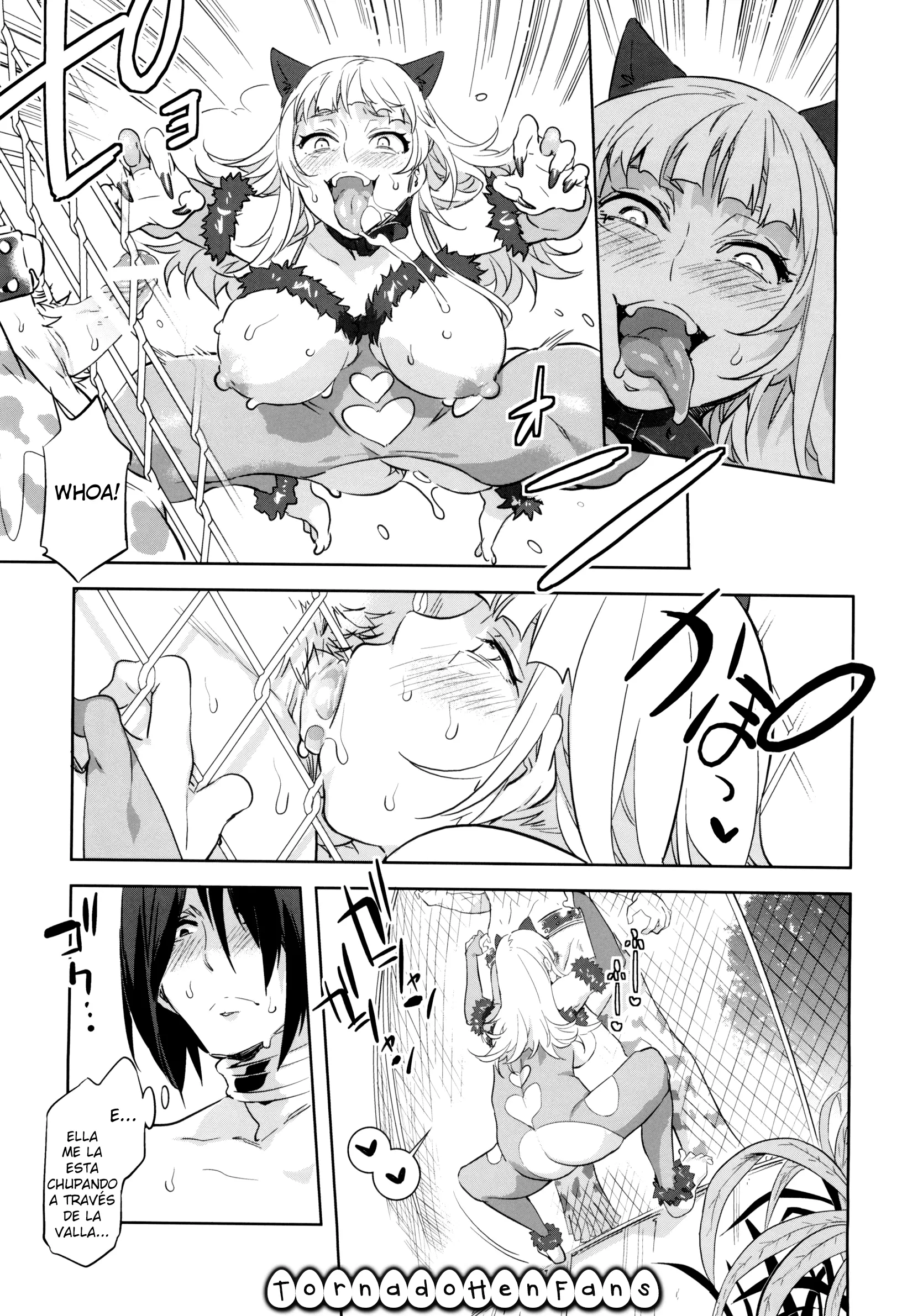 Pagina 17