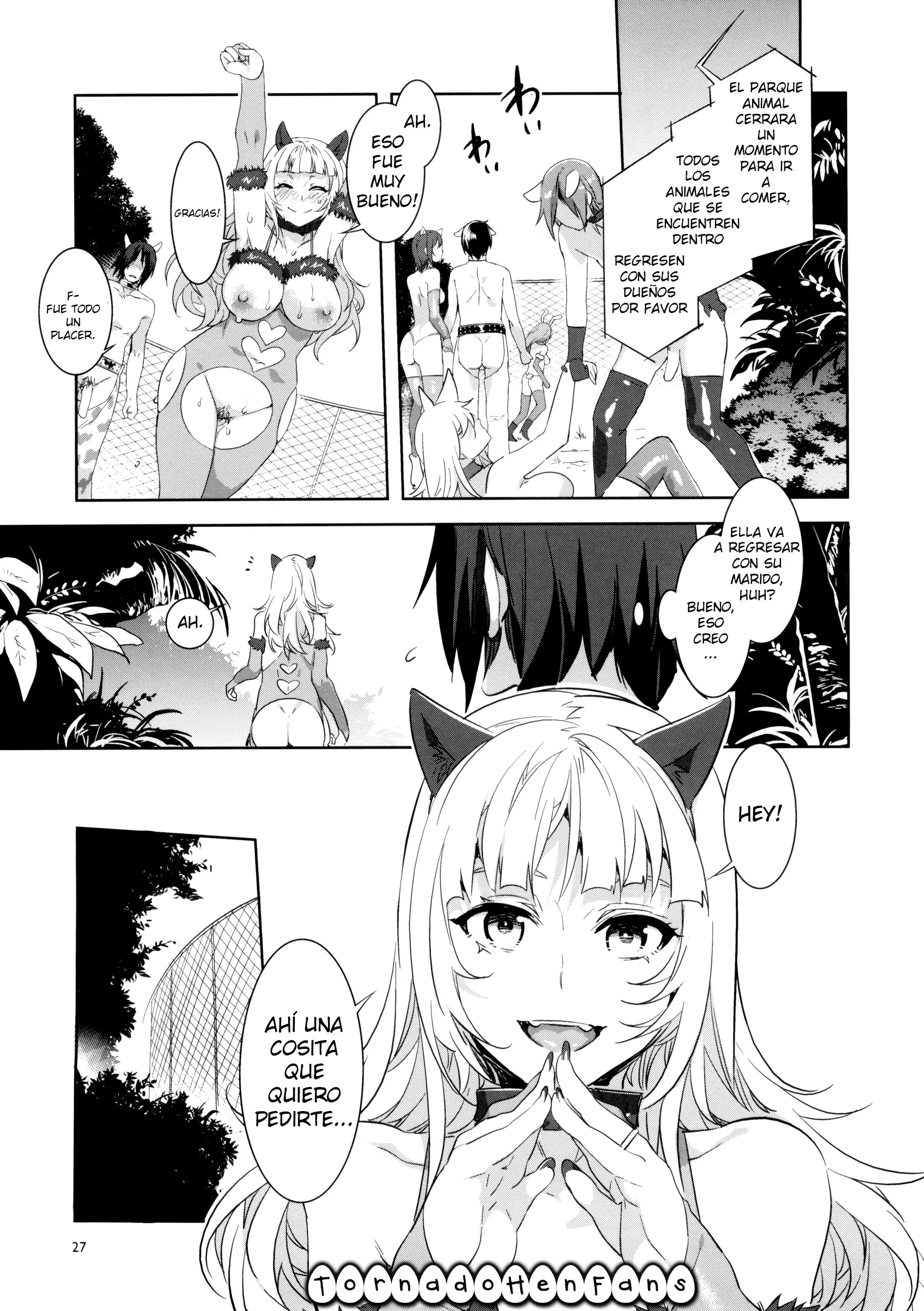 Pagina 27