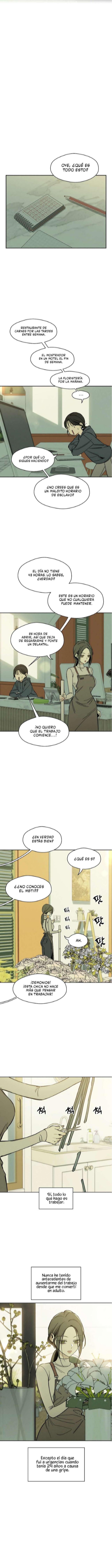 Pagina 12