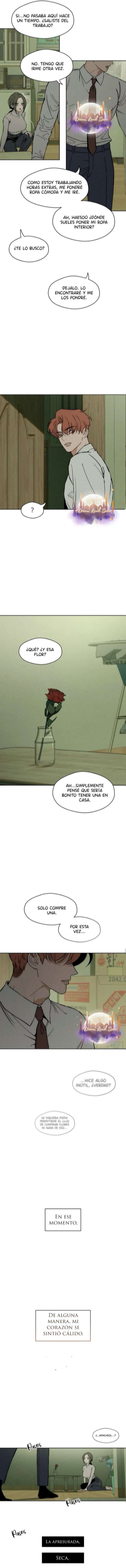Pagina 12