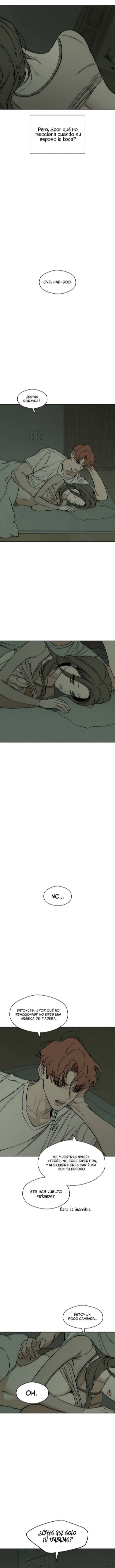 Pagina 26