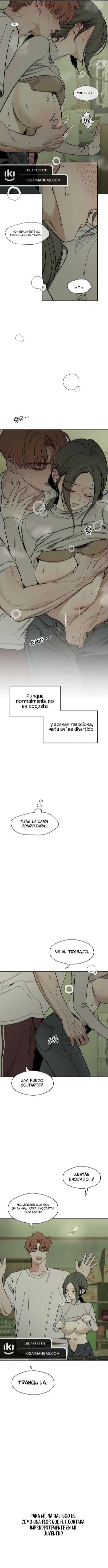 Pagina 6