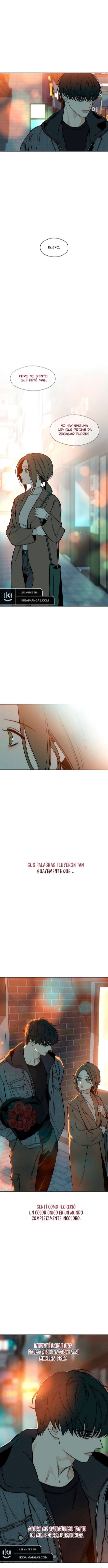 Pagina 7