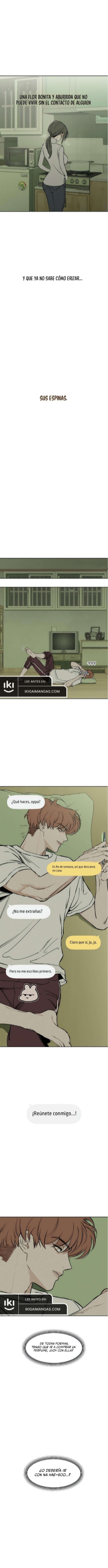 Pagina 7