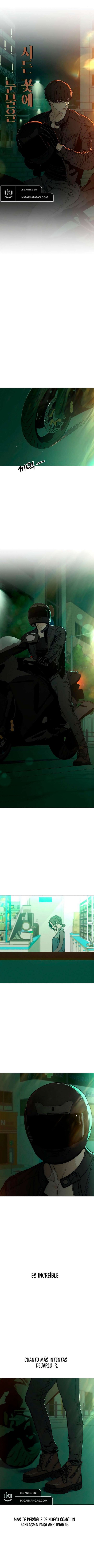 Pagina 9